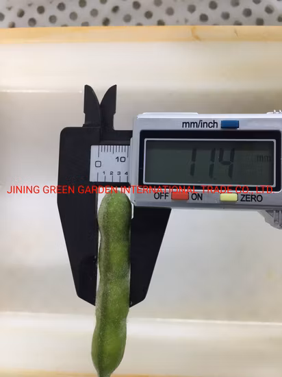 Top Quality New Season Soybeans Export Best Price IQF Frozen Edamame